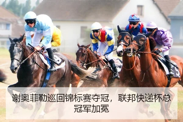 谢奥菲勒巡回锦标赛夺冠，联邦快递杯总冠军加冕
